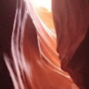 Meet your Posher, Pushpa